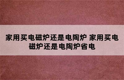 家用买电磁炉还是电陶炉 家用买电磁炉还是电陶炉省电